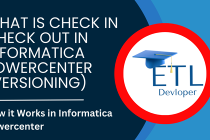 Check In Check Out in Informatica